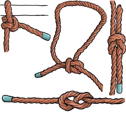 Knots