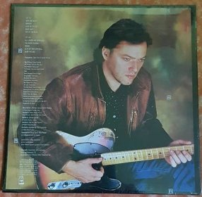 David Gilmour – About Face 1984 - LP / Vinylové desky