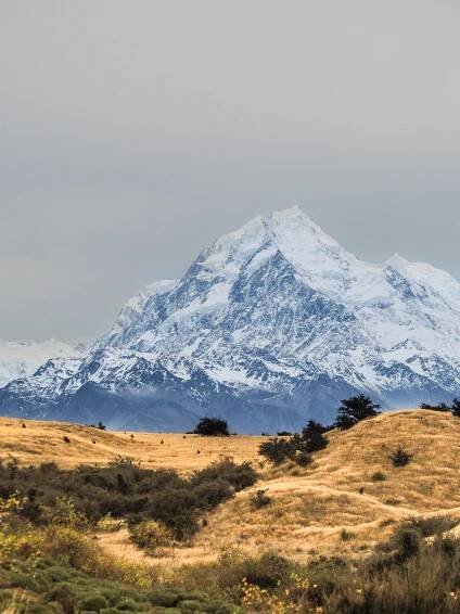 Marie Thibault - NEW ZEALAND