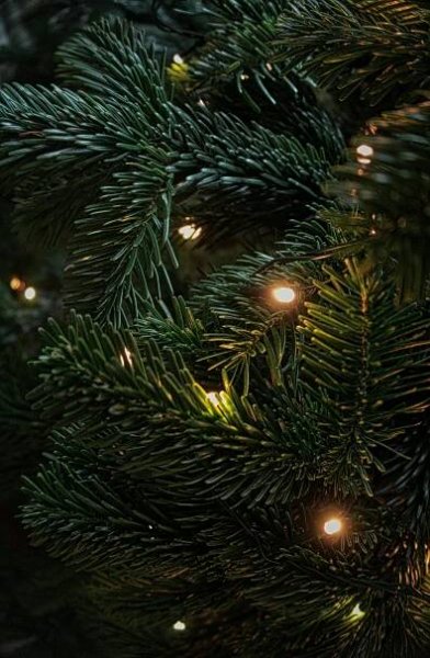 Das Neubauprojekt auf dem Christkindlesmarkt