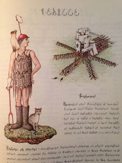 Orbis Pictus – An Essay on the Codex Seraphinianus | A Clockwork Berry