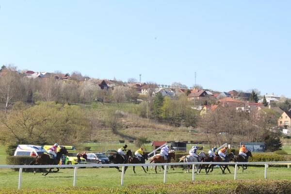 Měkká trať, vysoká návštěvnost. Ve Slušovicích odstartovala dostihová sezona
