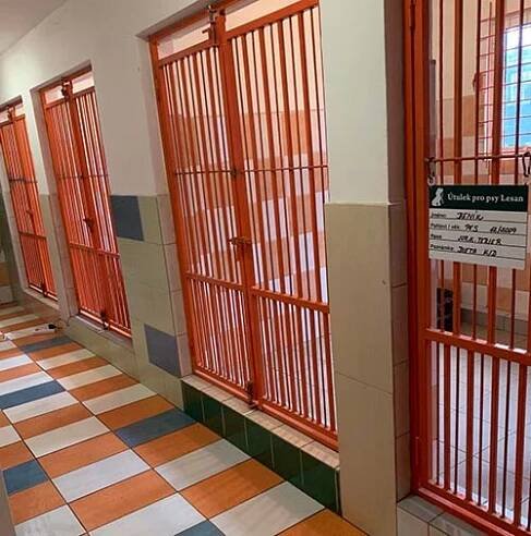 Městský útulek pro psy Lesan Kralupy nad Vltavou - Fotky útulku 