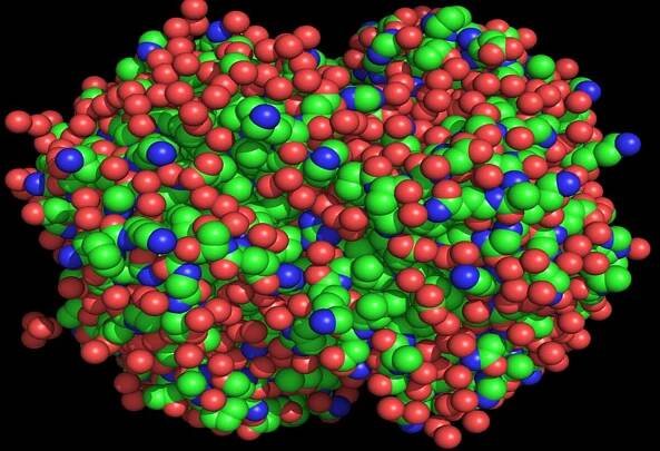 Hemoglobin Esthetics - Famous Proteins in Frames