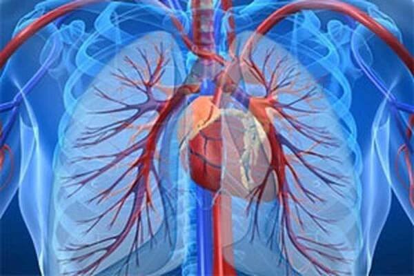 Symptomy a léčba plicní hypertenze / Hypertenze | Užitečné informace a tipy na péči o sebe. Zdraví, výživa a další.