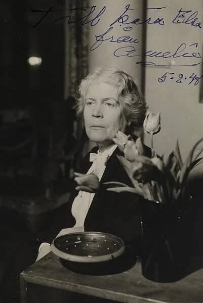 Amelie Posse-Brázdová – Wikipedie