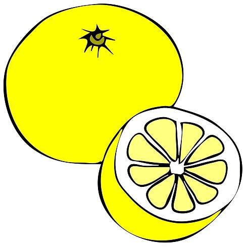 Citrón, Grapefruit, Ovoce, Žlutá, Bílý