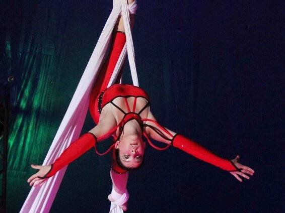 Berousek cirkus Sultán v Klatovech