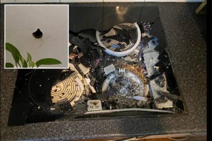 Elderly woman’s stove obliterated by ‘rocket’ can of disinfectant spray