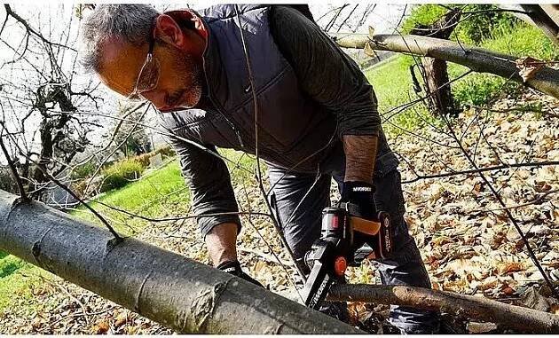 WORX WG325E.9
