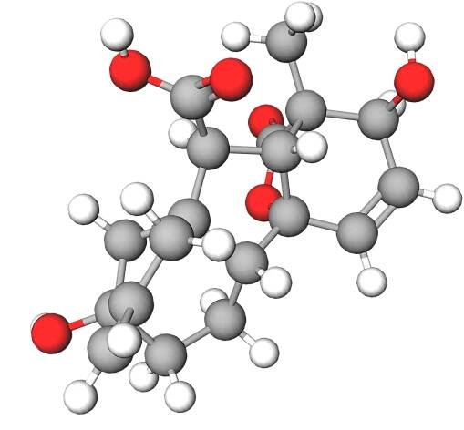 Gibberellic Acid | Ingredient | Cosmetic Ingredients Guide