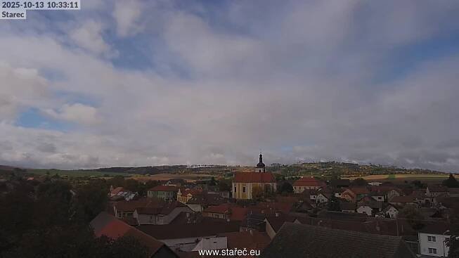 Stařeč živě