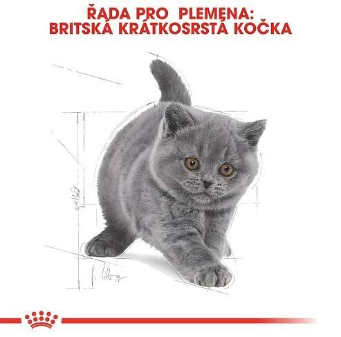Royal Canin Granule pro kočky British Shorthair Kitten 400 g