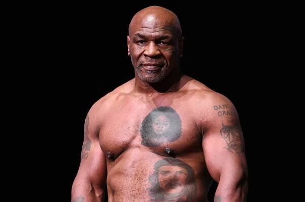 Zvíře Tyson v mládí. Kolem krku měl půl metru, vynikaly i jeho bicepsy