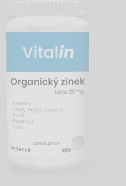 Zinek_copy2