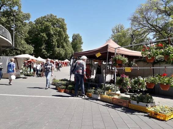 Selské trhy | Výstaviště Flora Olomouc, a. s.