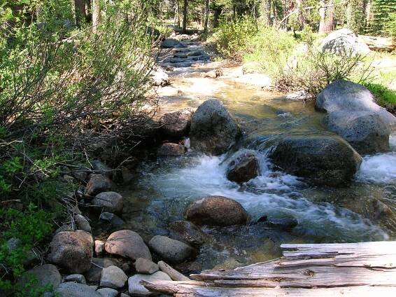 2005 Yosemite Trip