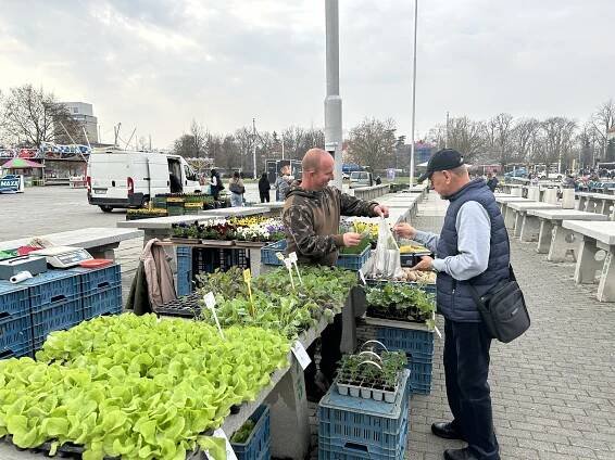 Olomoucká tržnice po zimě ožívá. Co už tam prodávají a za kolik