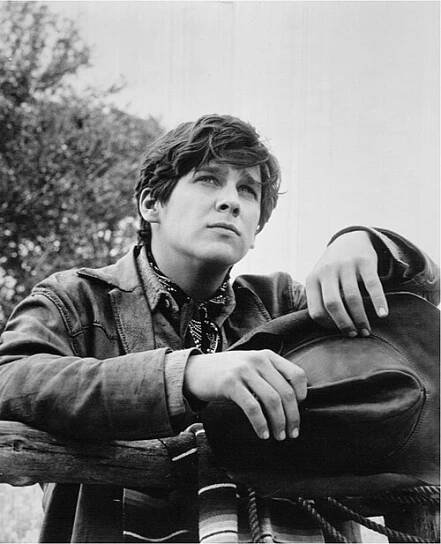 Tim Matheson - Wikipedia