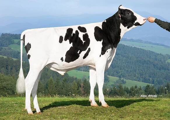 AGRAS DUNAJ NBR-121