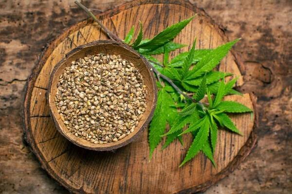 Kanabinoid HHC: Jaké má nová droga účinky a jak se k ní dostávají děti?