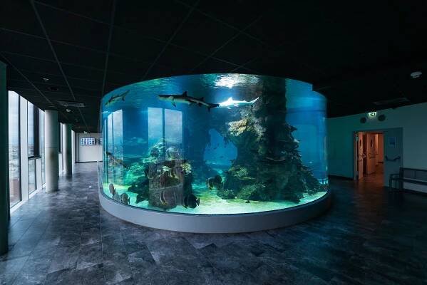 Haus des Meeres (Dom mora): Aqua Terra Zoo v srdci Viedne zabezpečená systémom Xesar | EVVA