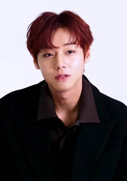 Park Ji-hoon - Wikipedia