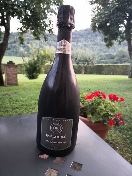 Spinelli's Dolce Vita | My passion for life