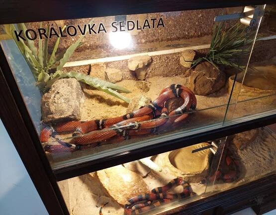 Mini Zoo Štramberk Aqua Terra foto 6