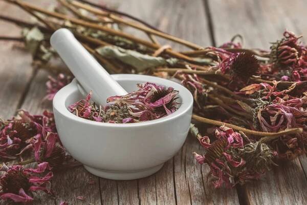 Minomet zdravých echinacea bylin a suché třapatky parta na dřevěný stůl. — Stock obrázek