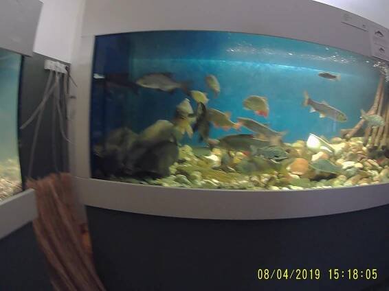 Photos - akvarium orlík - 08.04.2019