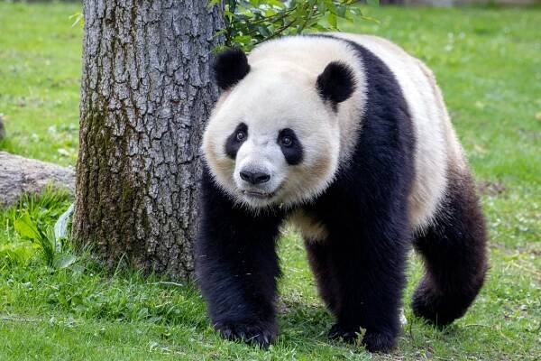 Madridská zoo