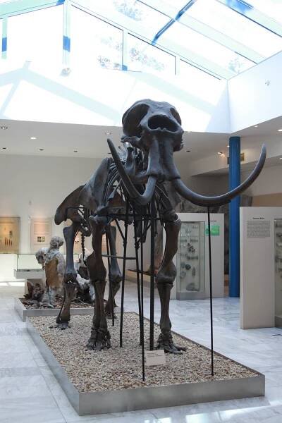 Pavilon Anthropos