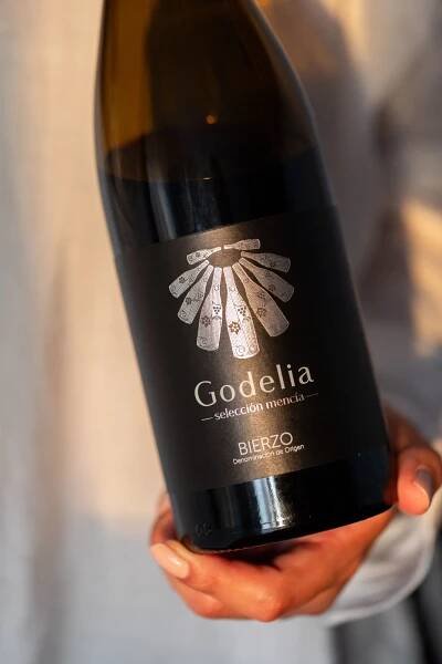 Guia Peñín Bierzo
