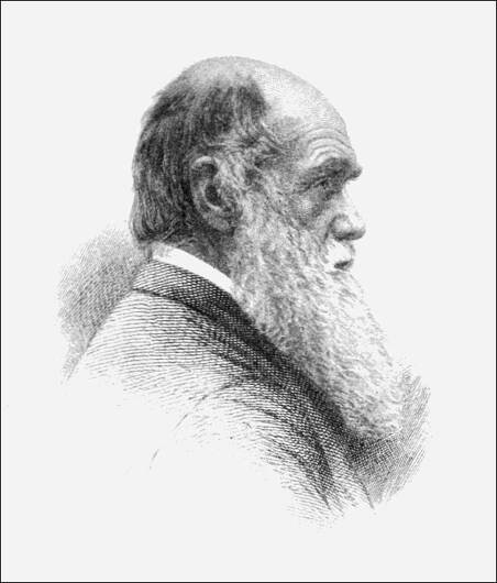 Category:Portraits of Charles Darwin - Wikimedia Commons