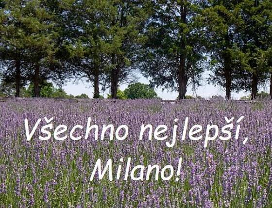 ᐉ 18 nej přání k svátku pro Milanu v roce 2025 (ZDARMA)