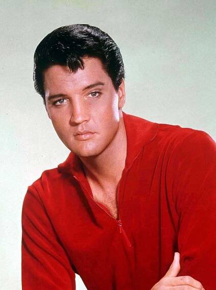 Elvis Presley Redakční Stock snímek