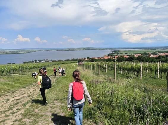Výlet na Pálavu – 4. a 5. ročník – Základní škola a Mateřská škola Nedvědice