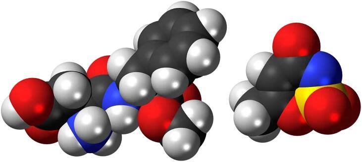 Aspartame-acesulfame salt