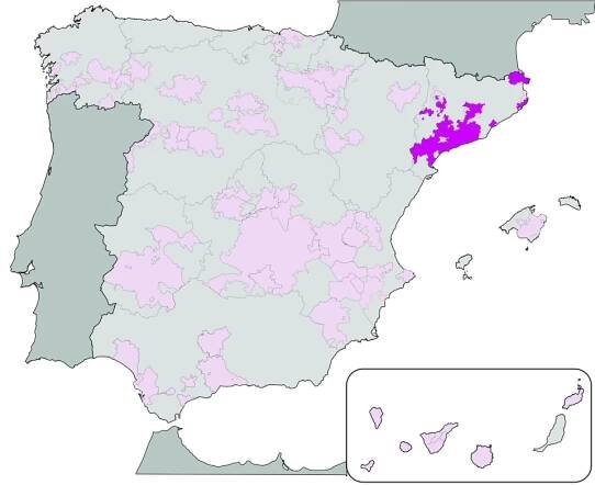 Catalunya DOP - Wikipedia