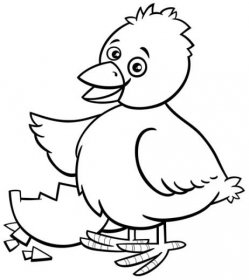Černobílé kreslené ilustrace legrační malé kuřátko vylíhnutá z vejce zbarvení stránky — Ilustrace