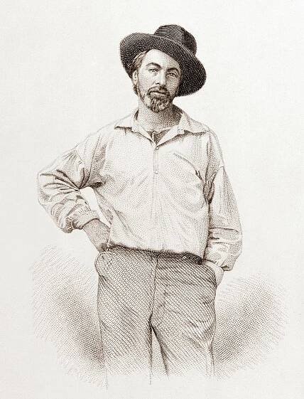 Soubor:Walt Whitman, steel engraving, July 1854.jpg – Wikipedie