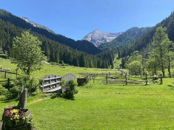 Rodinná zábava - Chalets & APARTEMENTS Reiteralm