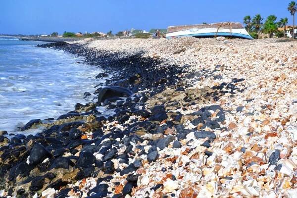 Shell Cemetery
