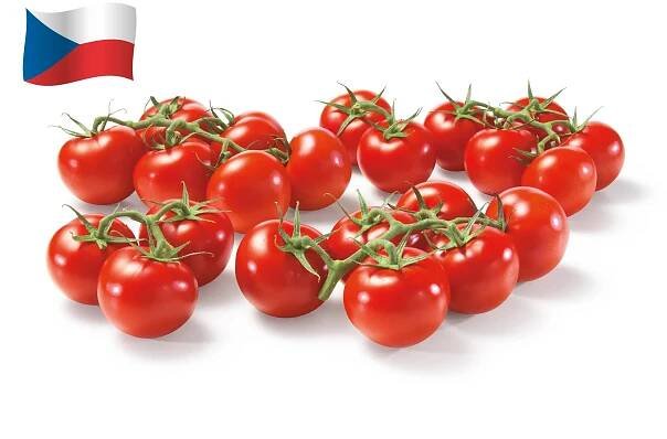 Červená rajčata cherry na větvi z České republiky.