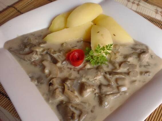 Recept: Hlíva na smetaně a zázvoru
