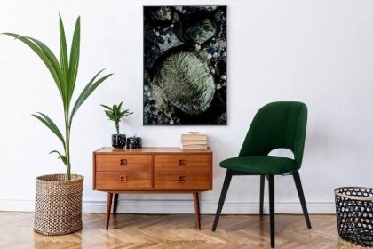BOVIO Židle do obývacího pokoje lahvově zelená tmavě zelená/wenge - obrázek 1