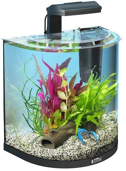 TETRA AquaArt Explorer Line 30 l Crayfish