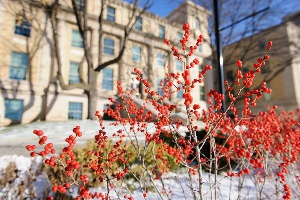Nicolas Hall in the winter