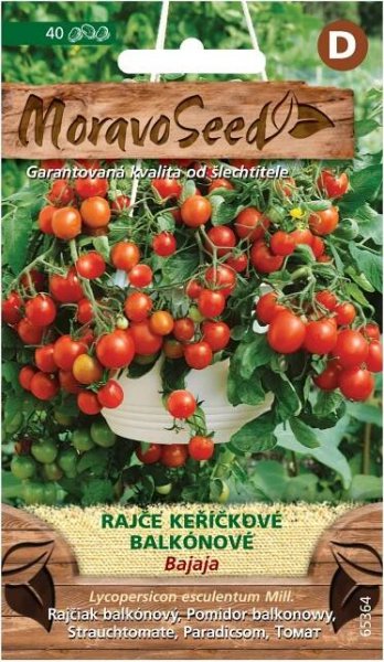 Moravoseed Rajče keříčkové Bajaja balkónové nakoupit u OBI